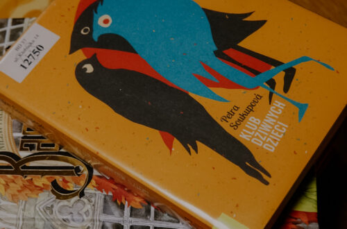 Książki dla młodszej młodzieży